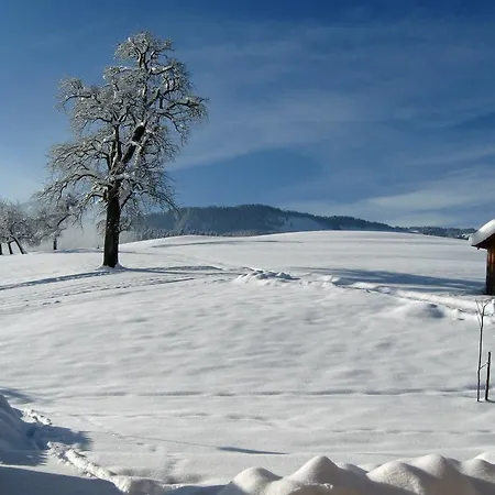 Schweizer Hof * Schwarzenberg im Bregenzerwald
