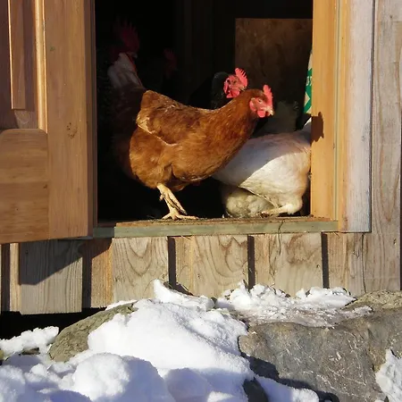 Agroturismo Schweizer Hof *