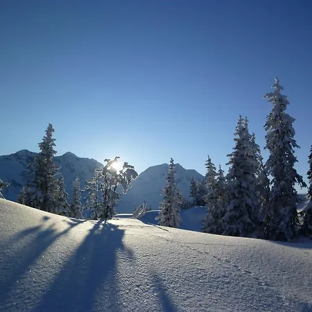 Schweizer Hof