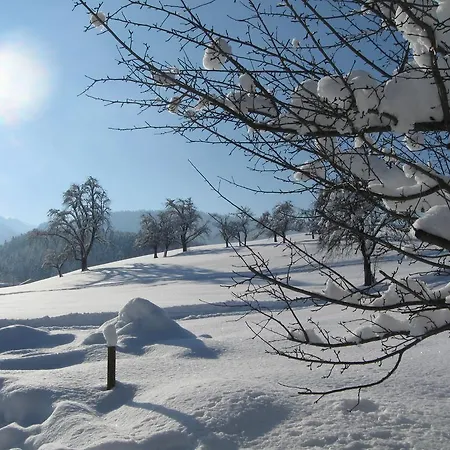 Schweizer Hof * Schwarzenberg im Bregenzerwald
