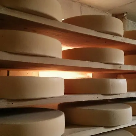 Schweizer Hof Feriegård *