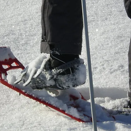 Schweizer Hof Feriegård Schwarzenberg im Bregenzerwald