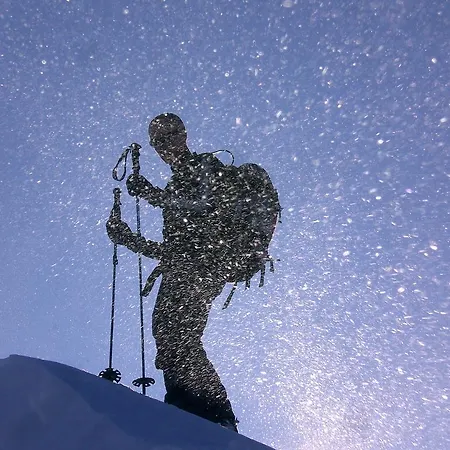 Schweizer Hof Feriegård *