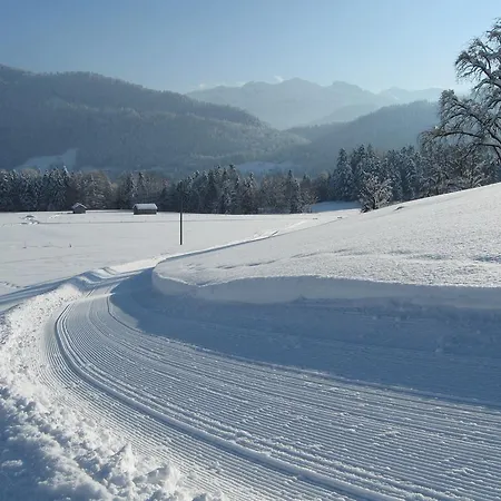 Feriegård Schweizer Hof *