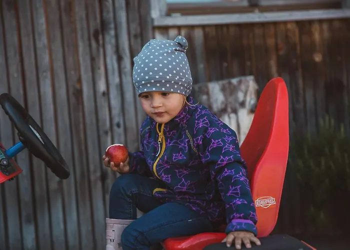 Schweizer Hof Farm stay Schwarzenberg im Bregenzerwald