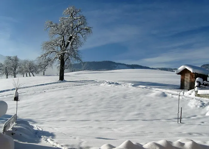 Schweizer Hof * Schwarzenberg im Bregenzerwald