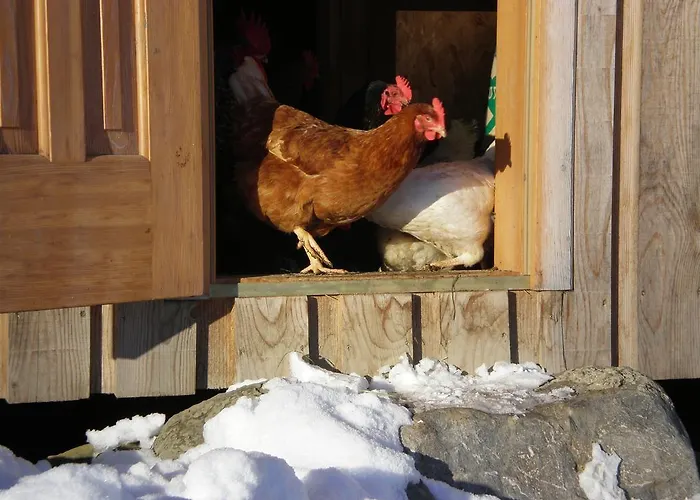 Farm stay Schweizer Hof *