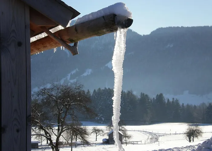 Farm stay Schweizer Hof *