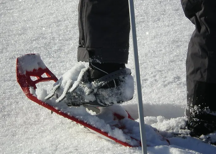 Schweizer Hof Farm stay Schwarzenberg im Bregenzerwald
