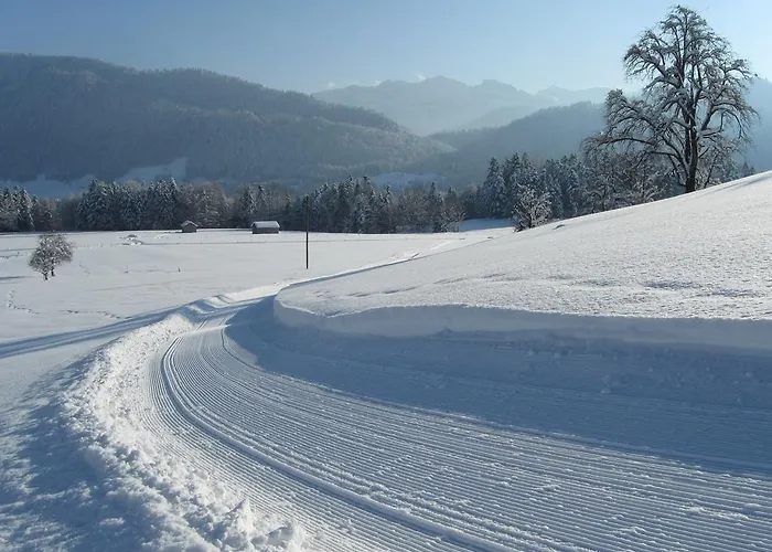 Farm stay Schweizer Hof *